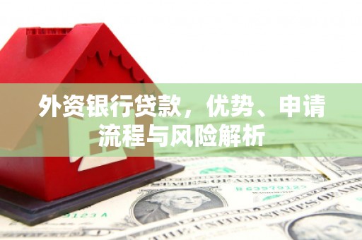 雁峰外资银行贷款，优势、申请流程与风险解析