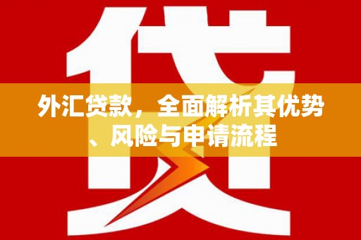 雁峰外汇贷款，全面解析其优势、风险与申请流程