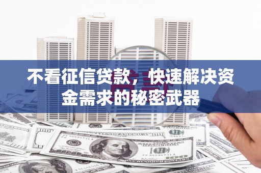 雁峰不看征信贷款，快速解决资金需求的秘密武器