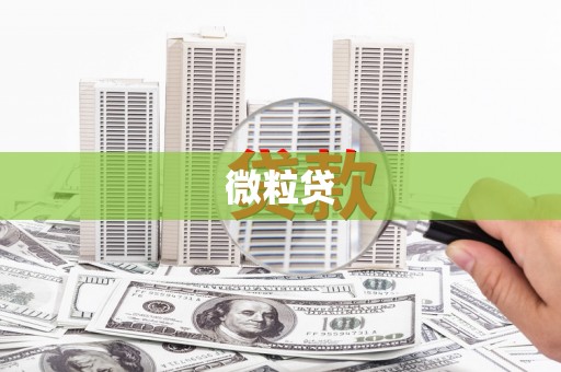 雁峰微粒贷