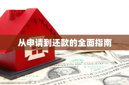 雁峰从申请到还款的全面指南