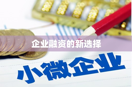 雁峰企业融资的新选择