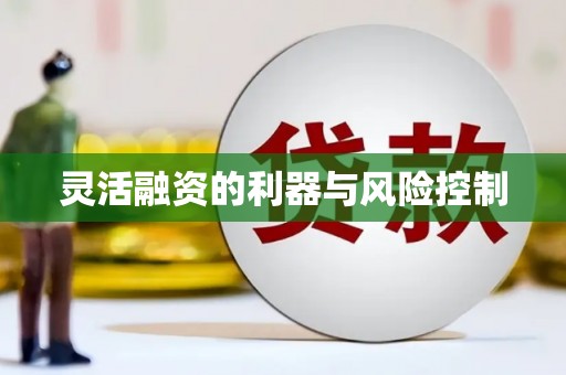 雁峰灵活融资的利器与风险控制