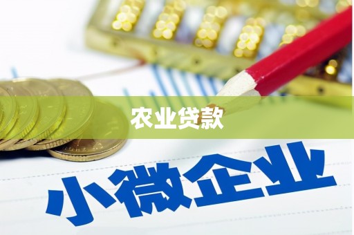 雁峰农业贷款