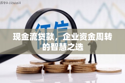 雁峰现金流贷款，企业资金周转的智慧之选