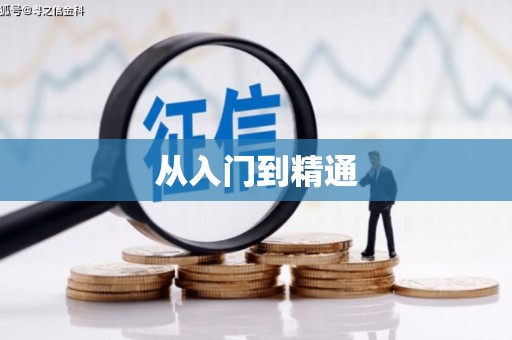 雁峰从入门到精通