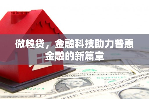 雁峰微粒贷，金融科技助力普惠金融的新篇章