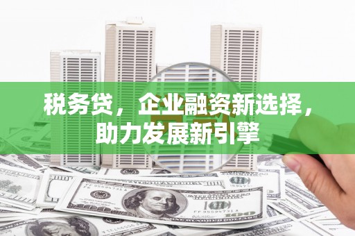 雁峰税务贷，企业融资新选择，助力发展新引擎