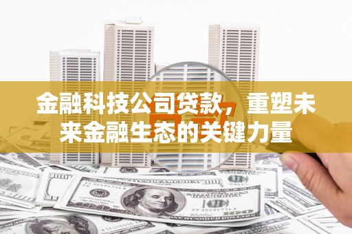 雁峰金融科技公司贷款，重塑未来金融生态的关键力量