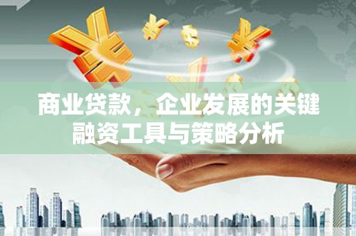 雁峰商业贷款，企业发展的关键融资工具与策略分析
