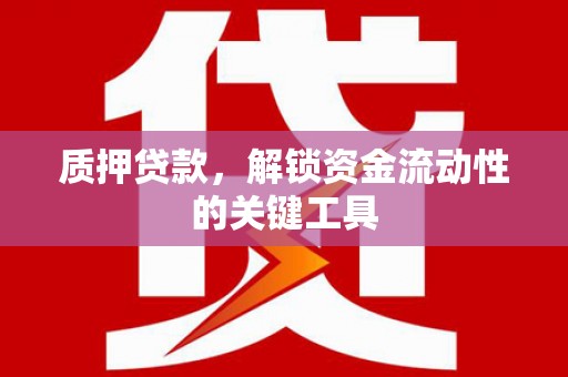 雁峰质押贷款，解锁资金流动性的关键工具