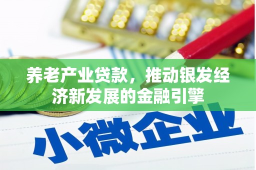 雁峰养老产业贷款，推动银发经济新发展的金融引擎
