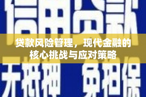 雁峰贷款风险管理，现代金融的核心挑战与应对策略