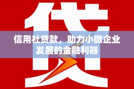 雁峰信用社贷款，助力小微企业发展的金融利器