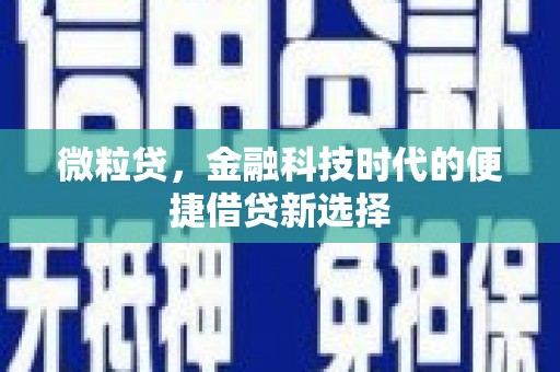 雁峰微粒贷，金融科技时代的便捷借贷新选择