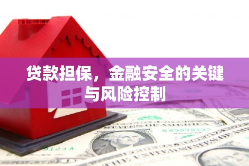 雁峰贷款担保，金融安全的关键与风险控制