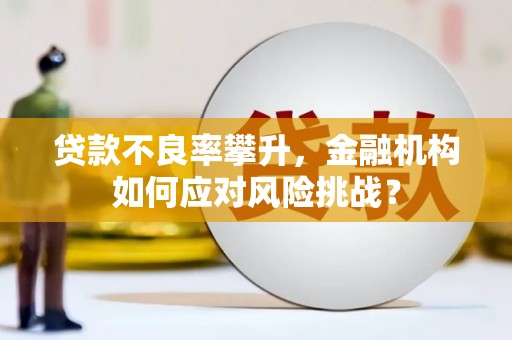 雁峰贷款不良率攀升，金融机构如何应对风险挑战？