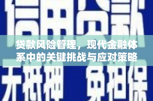 雁峰贷款风险管理，现代金融体系中的关键挑战与应对策略