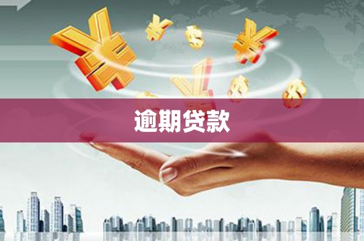 雁峰逾期贷款